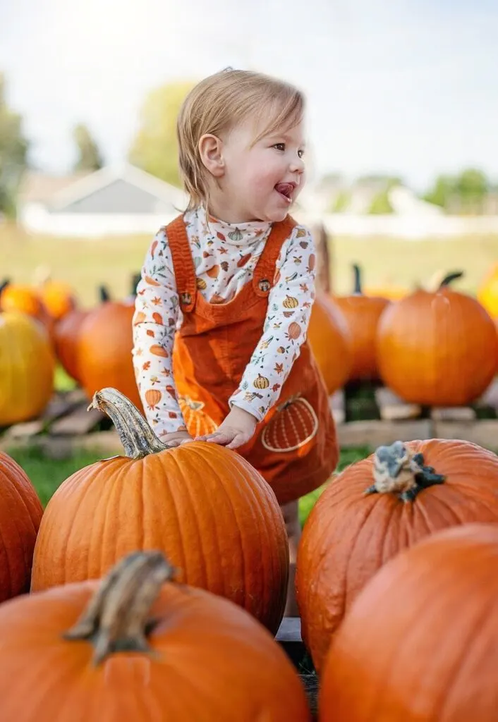 pumpkin picking in dubai